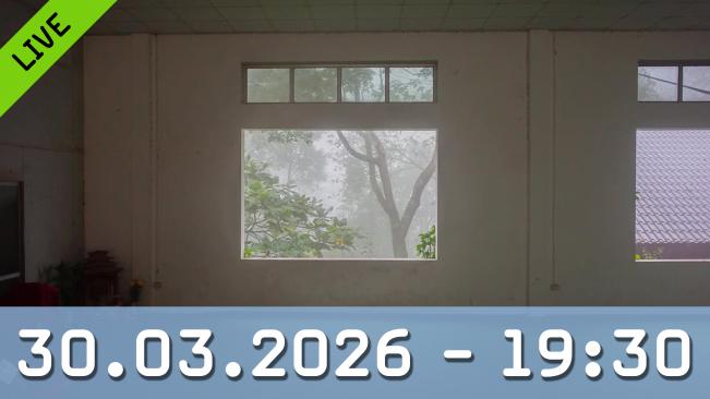 Fotografin Lê Quyên Nguyễn über ihre Bilder