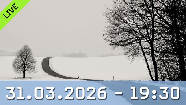 Lena Weisbek über atmosphärischen Minimalismus