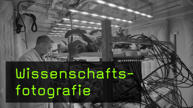 Fotografieren für die Wissenschaft