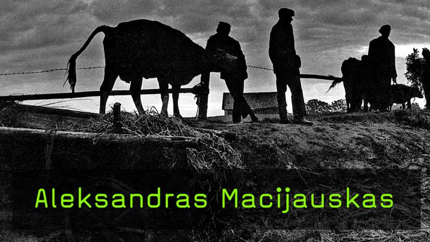 Aleksandras Macijauskas im Interview