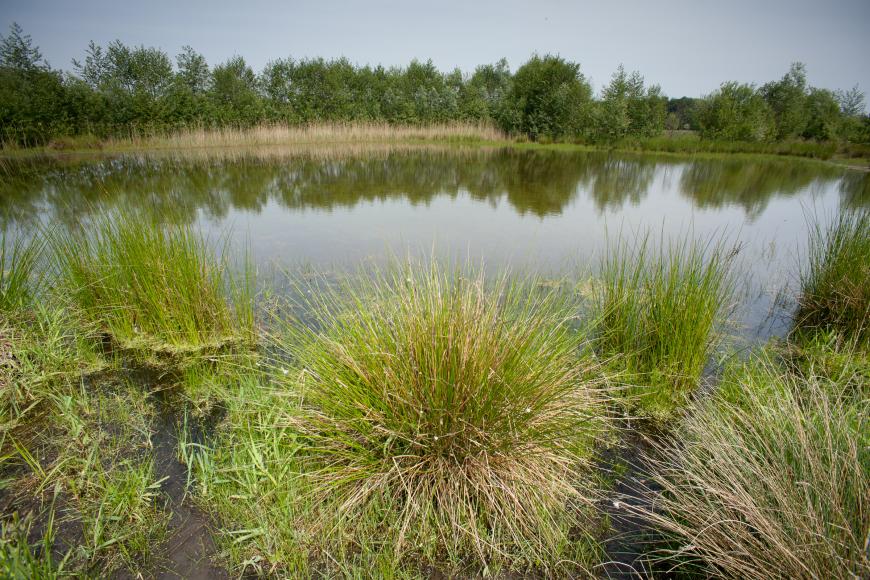 Das (beste) Objektiv für Landschaftsfotografie  