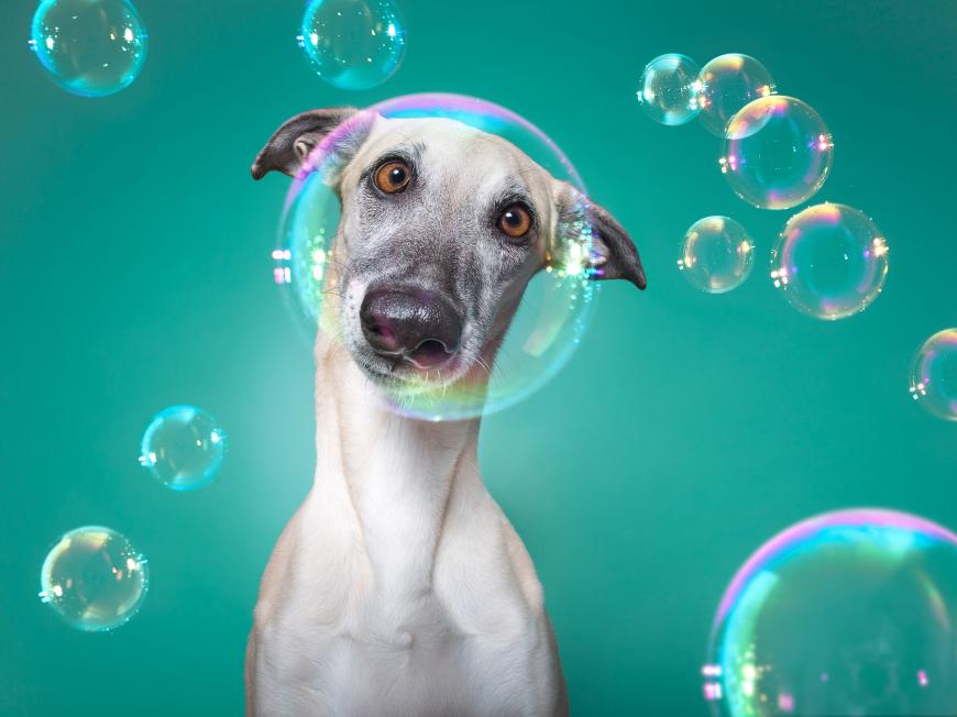 Tierfotos können lustig sein! 