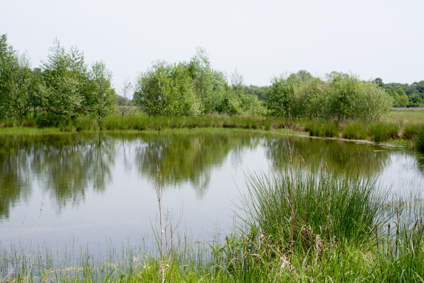 Das (beste) Objektiv für Landschaftsfotografie  