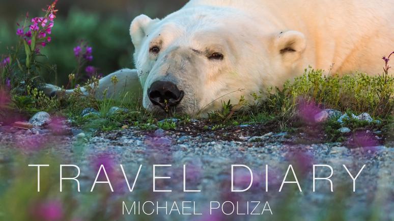 Travel Diary Ausstellungstour mit Michael Poliza