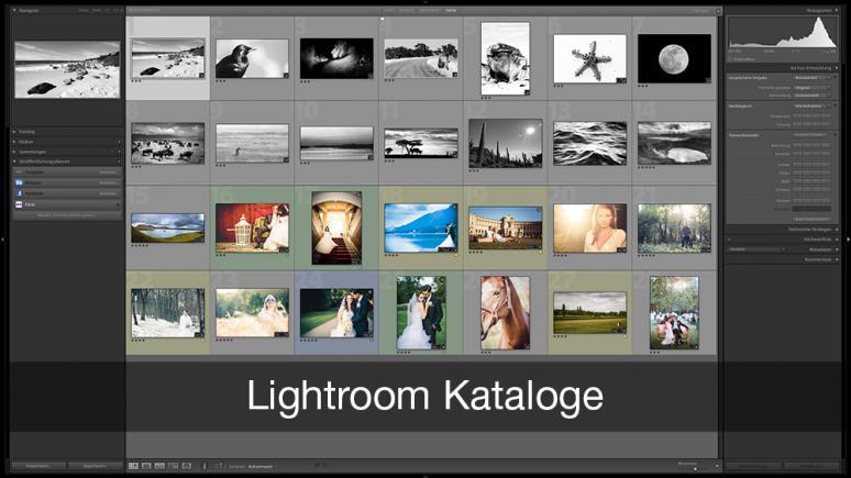 Lightroom Katalog optimal verwenden