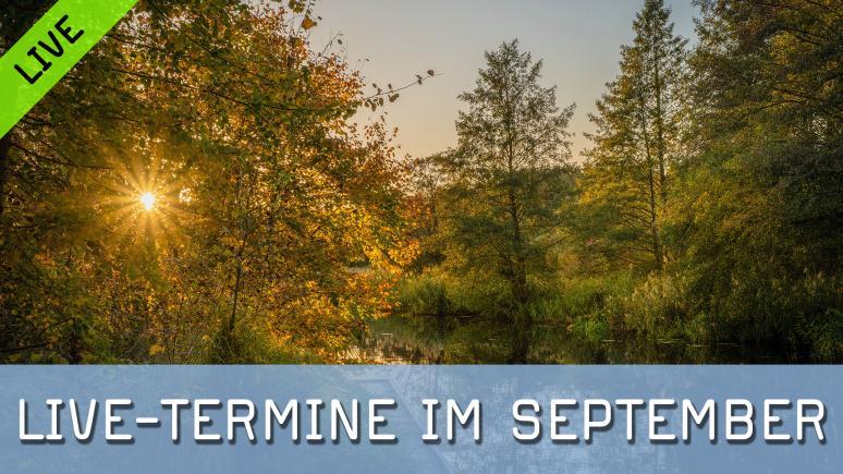 FotoTV.-Live-Sessions im September 2026