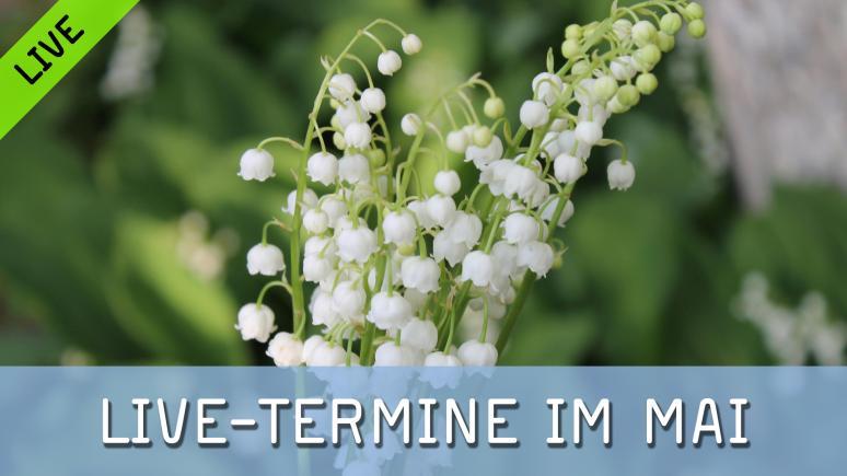 FotoTV.-Livetermine im Mai 2026