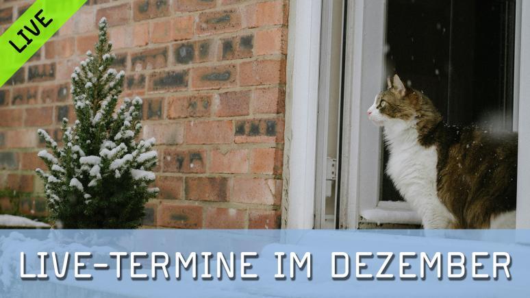 Livetermine im Dezember 2025 bei FotoTV.