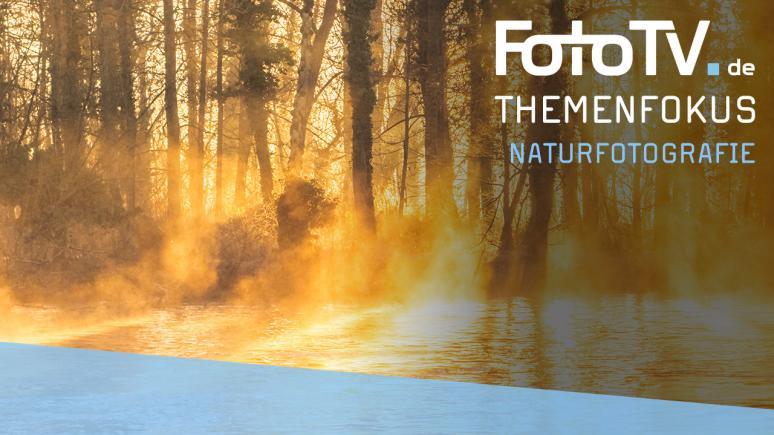 Themenfokus Naturfotografie
