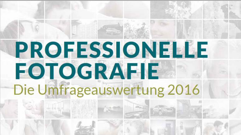 Umfrage zur Berufsfotografie 2016