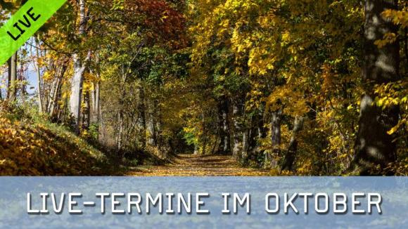 Die FotoTV.-Livetermine im Oktober 2026