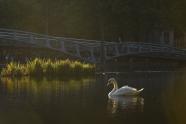 Urbane Naturfotografie