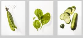 Gemüse Triptychon