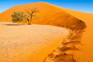 Wüstenlandschaft, Namibia, Fotograf Raik Krotofil