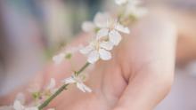 Optische Elemente in der Fotografie, Tools für tolle Bildlooks