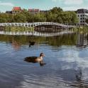 Smartphone-Fotografie, Marvin Ruppert, Stadtlandschaften, Bildbearbeitung, Streetfotografie