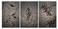 Fotogramm Triptychon