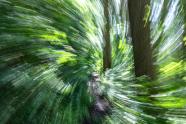 Der Einsatz von ICM in der Naturfotografie