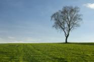 Fotograf Eberhard Schuy, Bildgestaltung, Landschaft, Lightroom, Naturfotografie