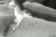 Fluss, Naturfotografie, Linienfuehrung, Landschaftsfotografie, Fotograf Fred Picker, Analoge Fotografie