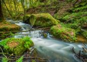 Fotoguide Deutschland, Pfälzer Wald, Karlstalschlucht