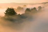 Ruhrgebiet, Nebel, Naturfotografie