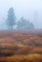 Schwarzwald, Schliffkopf, Hornisgrinde, Fotoguide Deutschland