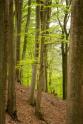 Landschaftsfotografie in der Pfalz mit Raik Krotofil