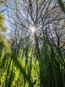 Motive für Smartphone-Fotografie in der Natur finden