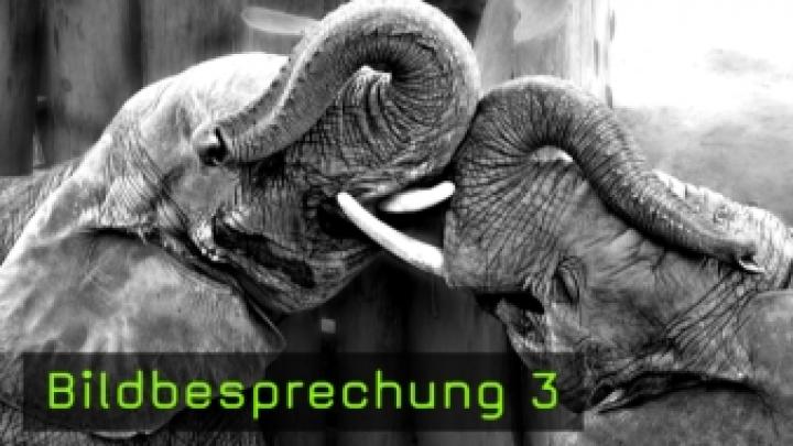 Bildbesprechung 3 Bildbesprechung 3