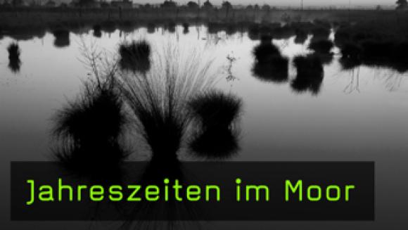 Willi Rolfes Moor fotografieren