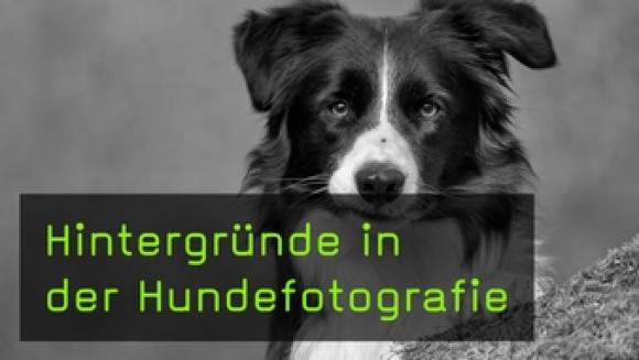 Elke Vogelsang über das Arbeiten mit Unschärfe und Farben