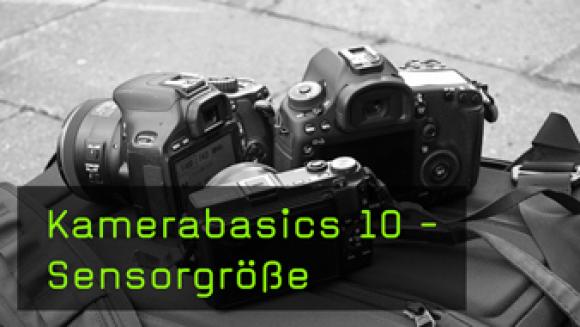 Vollformat, APS-C, MFT und 1-Zoll-Sensoren im Vergleich