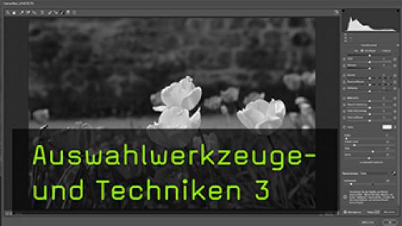 Auswahl- und Maskierungstechniken in Photoshop CC