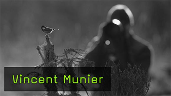 Vincent Munier