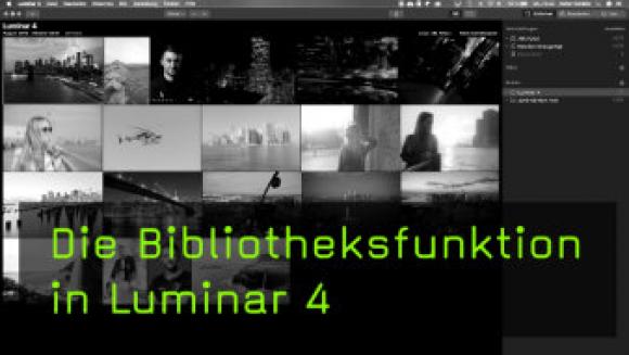 Bilder organisieren mit der Luminar Bibliothek