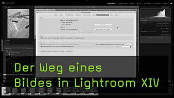 Der Weg eines Bildes in Lightroom XIV