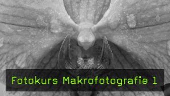 Vorsatz- und Nahlinsen in der Makrofotografie