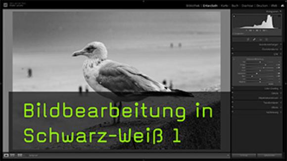 Schwarz-Weiß-Bildbearbeitung