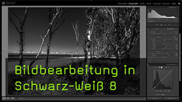 Detailkontrast in Lightroom herausarbeiten