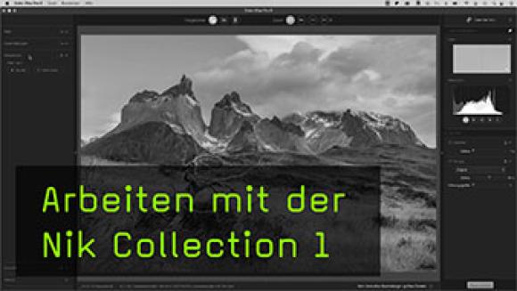 Einführung in die Nik Collection