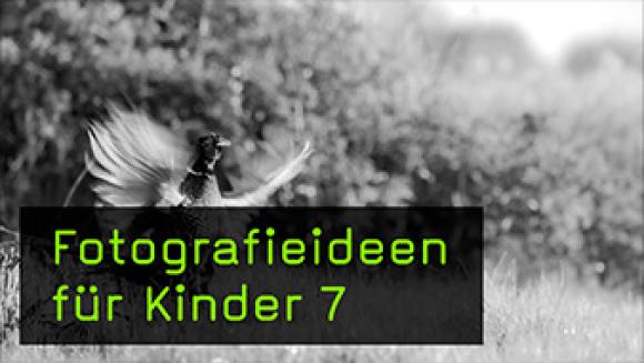 Fotografieideen für Kinder, Naturfotografie, Tierfotografie