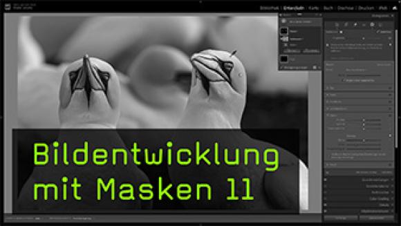 Das Korrigieren von Farbbereichen mithilfe von KI-Masken