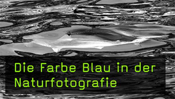 Die Wirkung der Farbe Blau in Naturaufnahmen