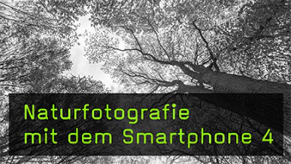 Motive für Smartphone-Fotografie in der Natur finden