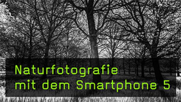 Gestaltungsmöglichkeiten dank Filter mit dem Smartphone