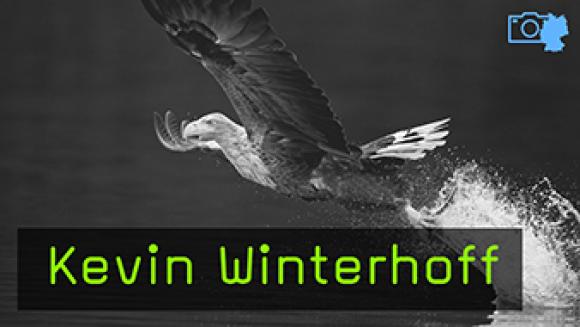 Kevin Winterhoff Naturfotografie Feldberger Seenlandschaft