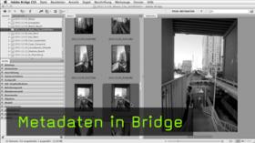 Metadaten in Bridge