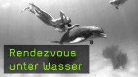 Unterwasserfotos Todd Essick