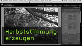 Laub umfärben in Lightroom